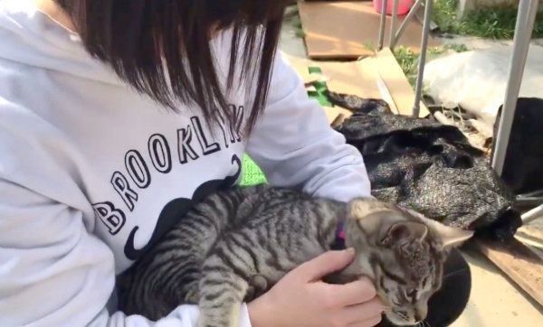 抱っこされるコタローくん