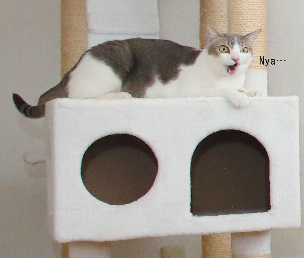 撮影／尾﨑たまき