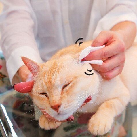 撮影／尾﨑たまき