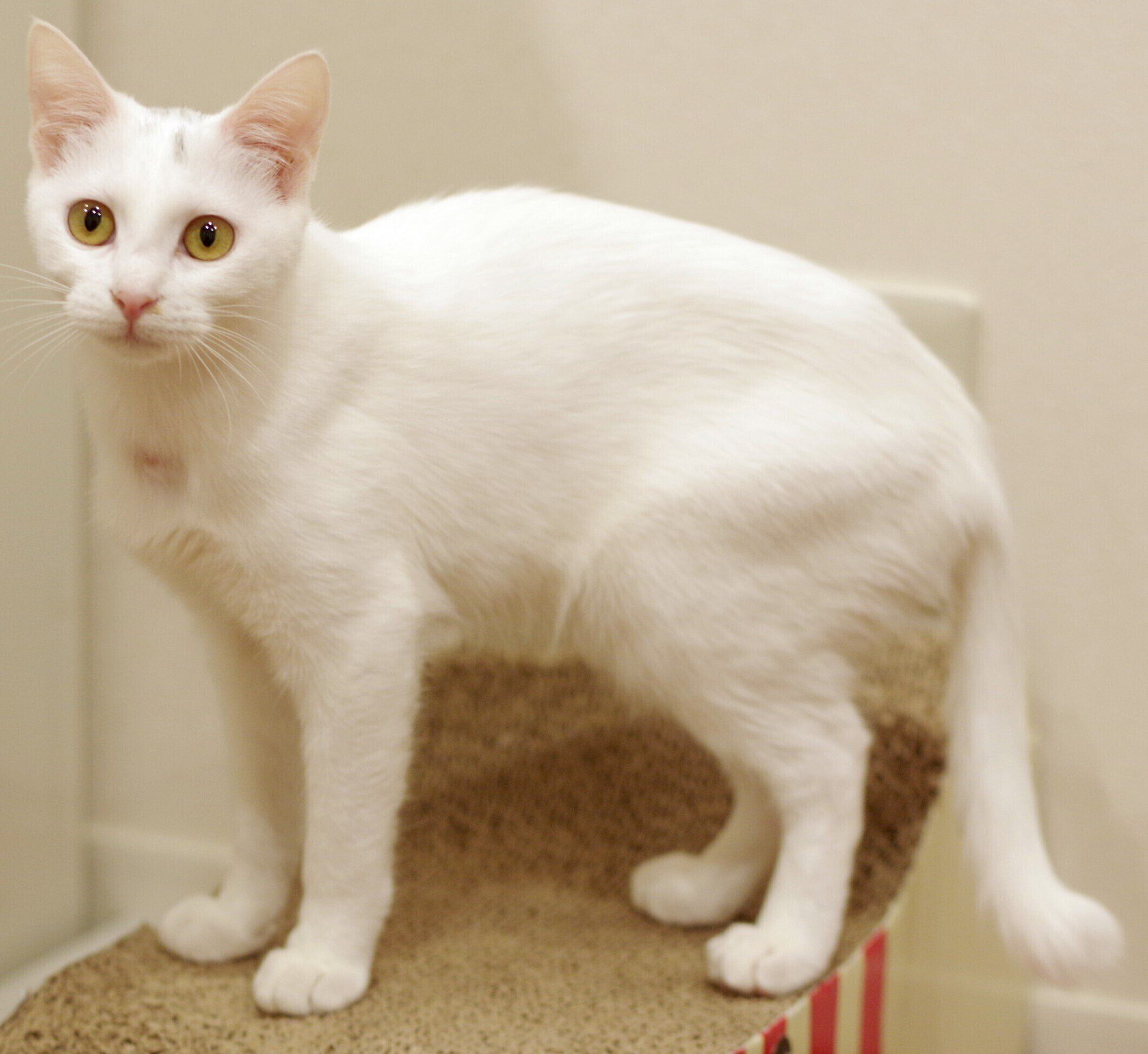 撮影／石原さくら