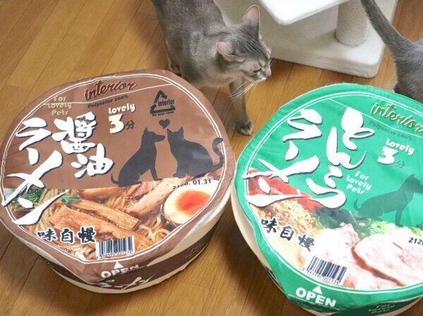 カップ麺型のペットベッドが気になるスルメさんと麦ちゃん
