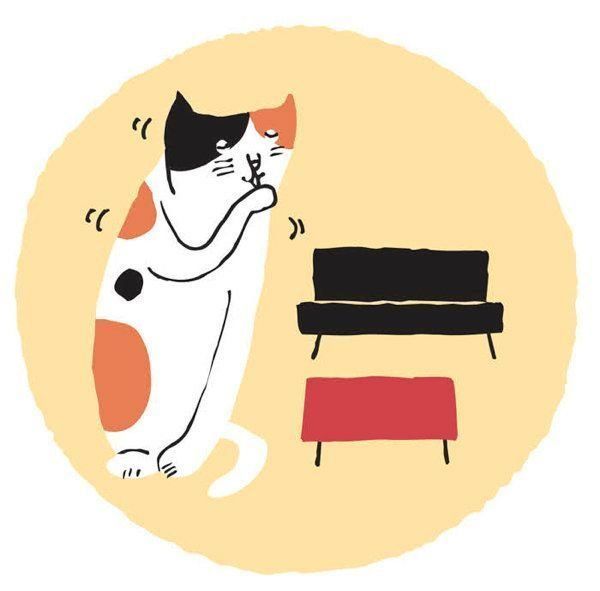 飼い主さんが気になる"おひとり猫"に関するアレコレ