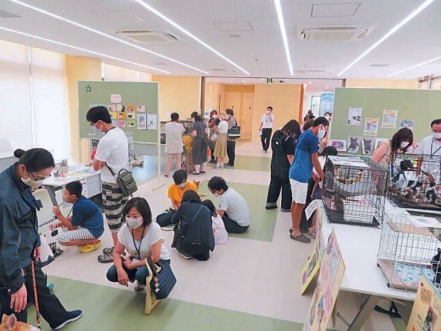 写真提供／さぬき動物愛護センター　しっぽの森