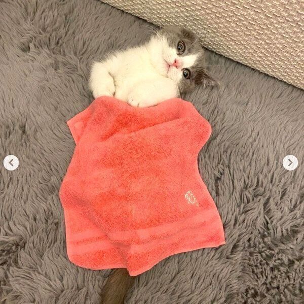 まったりするココタくん