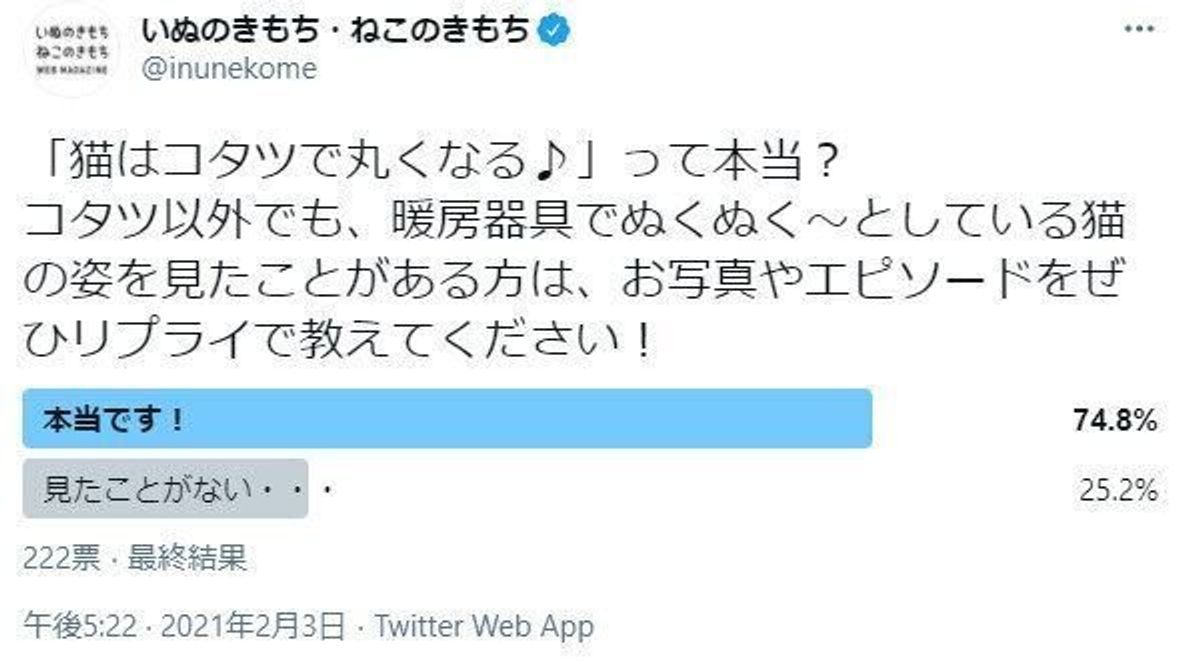 猫はコタツで丸くなる は本当 猫飼い主さんたちから驚きの証言が ねこのきもちweb Magazine 猫はコタツで丸くなる は本当 猫飼い主さんたちから驚きの証言が ねこのきもちweb Magazine