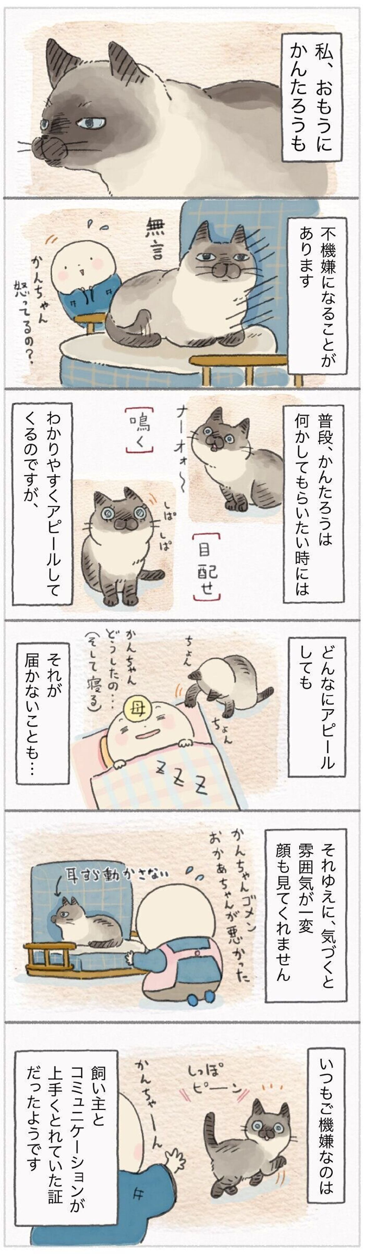 目が据わっちゃったよ いつもご機嫌な猫が不機嫌になる理由とは ねこ連れ草 151話め ねこのきもちweb Magazine 目が据わっちゃったよ いつもご機嫌な猫が不機嫌になる理由とは ねこ連れ草 151話め ねこのきもちweb Magazine
