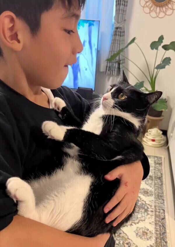 息子さんに抱っこされるぽんずちゃん