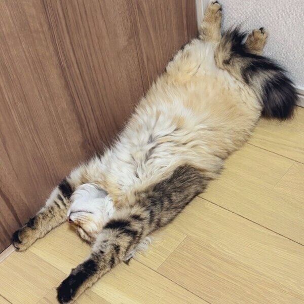 バンザイで眠るリーンちゃん