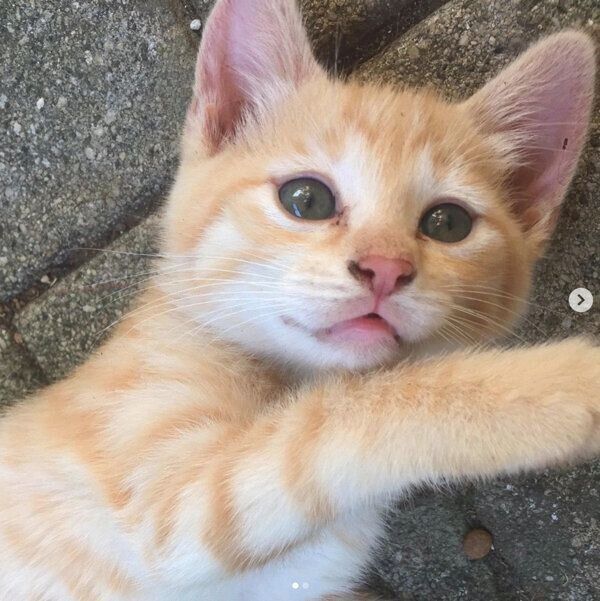 初めて会ったときのもいわちゃん