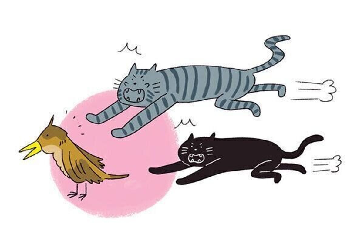 ケケケと鳴く 寝言をいう 猫が見せる 5つの怪奇行動 のホントの理由 ねこのきもちweb Magazine ケケケと鳴く 寝言をいう 猫が見せる 5つの怪奇行動 のホントの理由 ねこのきもちweb Magazine
