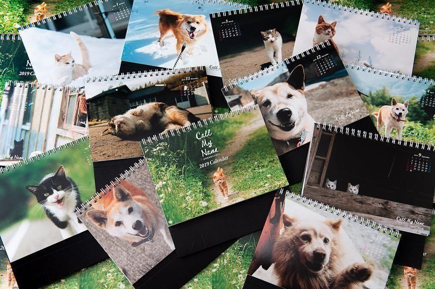 「Call my name 原発被災地の犬猫たち」カレンダー