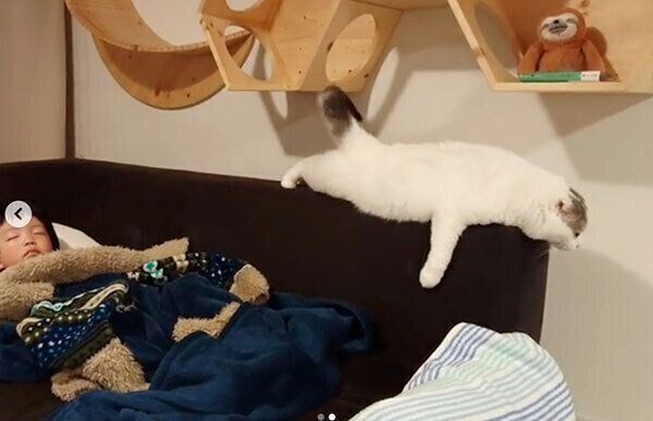 ぺったん寝するライくん