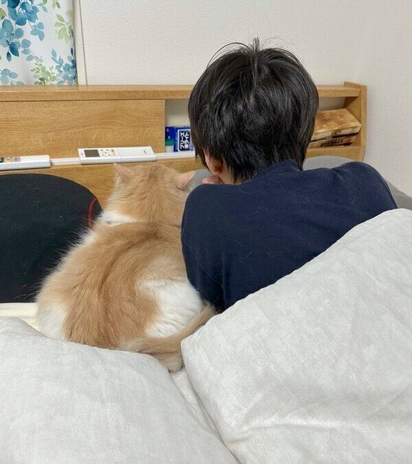 パパさんと一緒に動画を見るテオくん