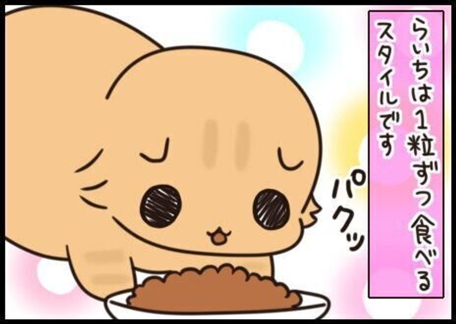 カリカリ音も個性的 どっちの猫かは音だけでわかっちゃう 連載 もふもふスコたん 1 ねこのきもちweb Magazine カリカリ音も個性的 どっちの猫かは音だけでわかっちゃう 連載 もふもふスコたん 1 ねこのきもちweb Magazine