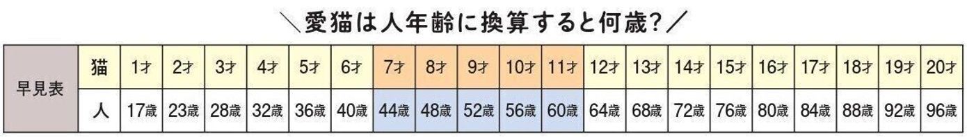 年をとって愛しさ倍増 メリットいっぱい 中年猫の魅力 ねこのきもちweb Magazine 年をとって愛しさ倍増 メリットいっぱい 中年猫の魅力 ねこのきもちweb Magazine