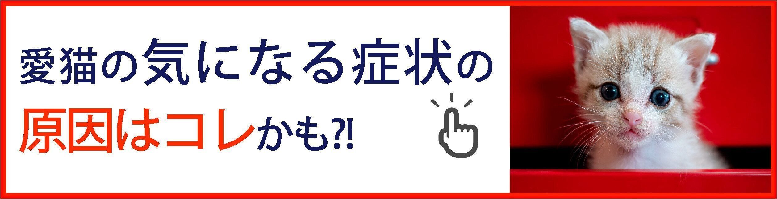 愛猫の気になる症状の原因はコレかも?!