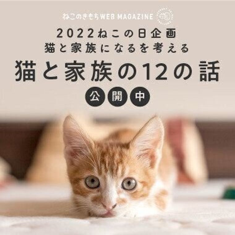 コロナ禍の海外への引っ越し 2匹の猫たちは 1か月後の別便 になるも無事再会 どこへ行くのも必ず一緒 ねこのきもちweb Magazine コロナ禍の海外への引っ越し 2匹の猫たちは 1か月後の別便 になるも無事再会 どこへ行くのも必ず一緒 ねこのきもちweb Magazine