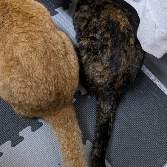 MIX　サビ　るな  