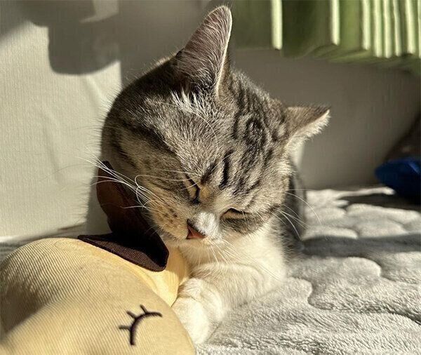 眠そうなタロウくん