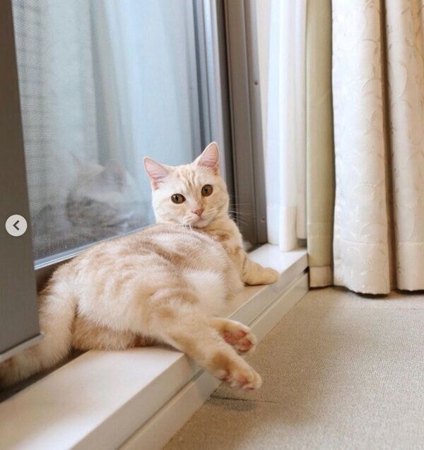 まったりするナツちゃん