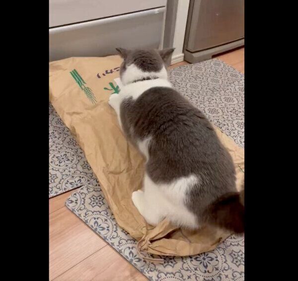 お米の袋に乗るまるくん