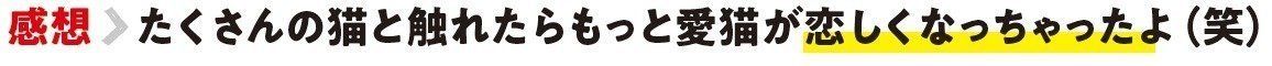 画像／ねこのきもち2018年11月号