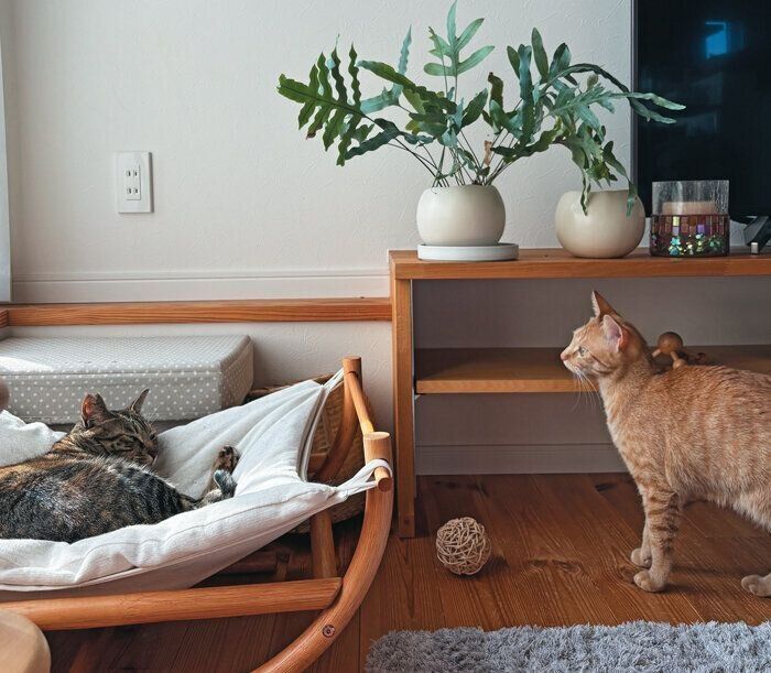 ナチュラル系のカラーコーディネート