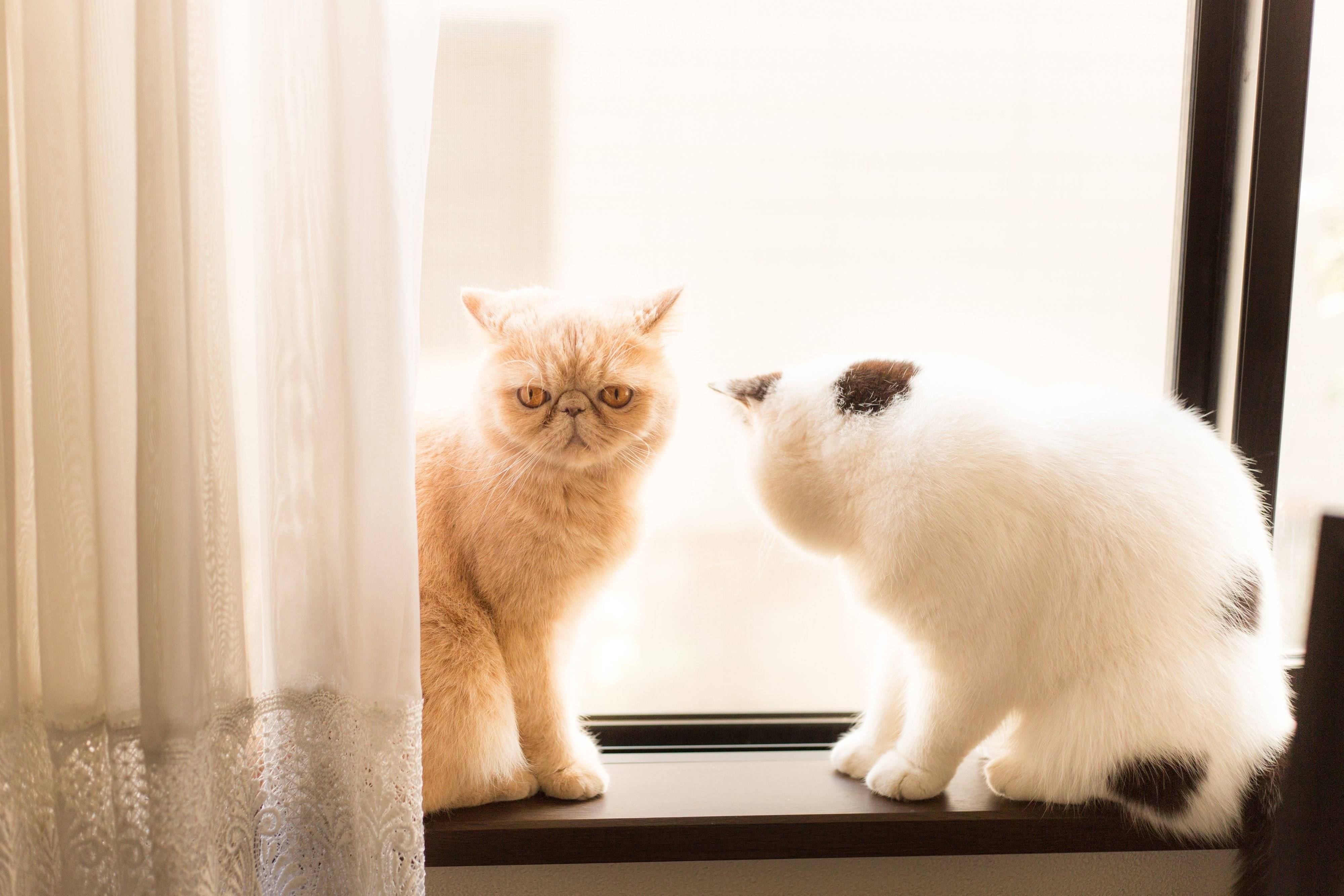 撮影／長谷川里美
