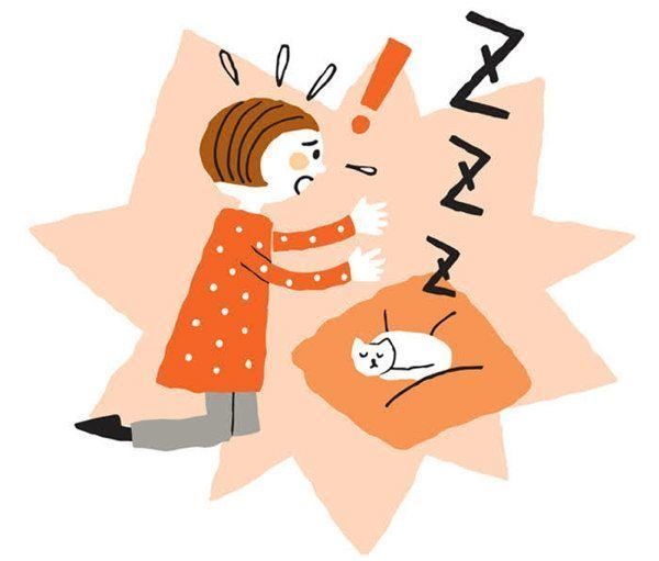 飼い主さんの夜間救急体験記