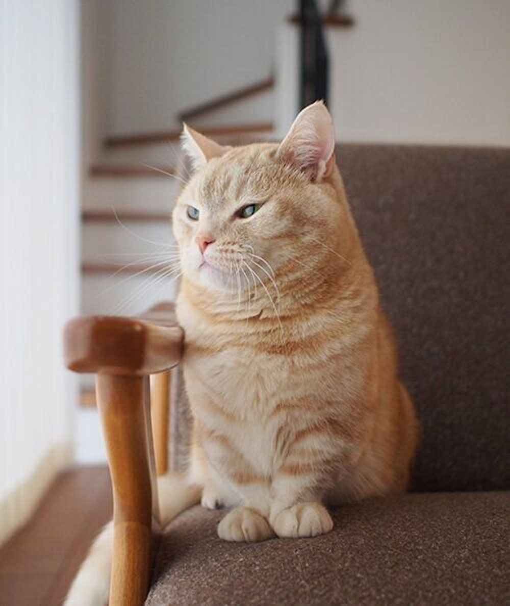 Qlctlt4rgvccmm Qlctlt4rgvccmm