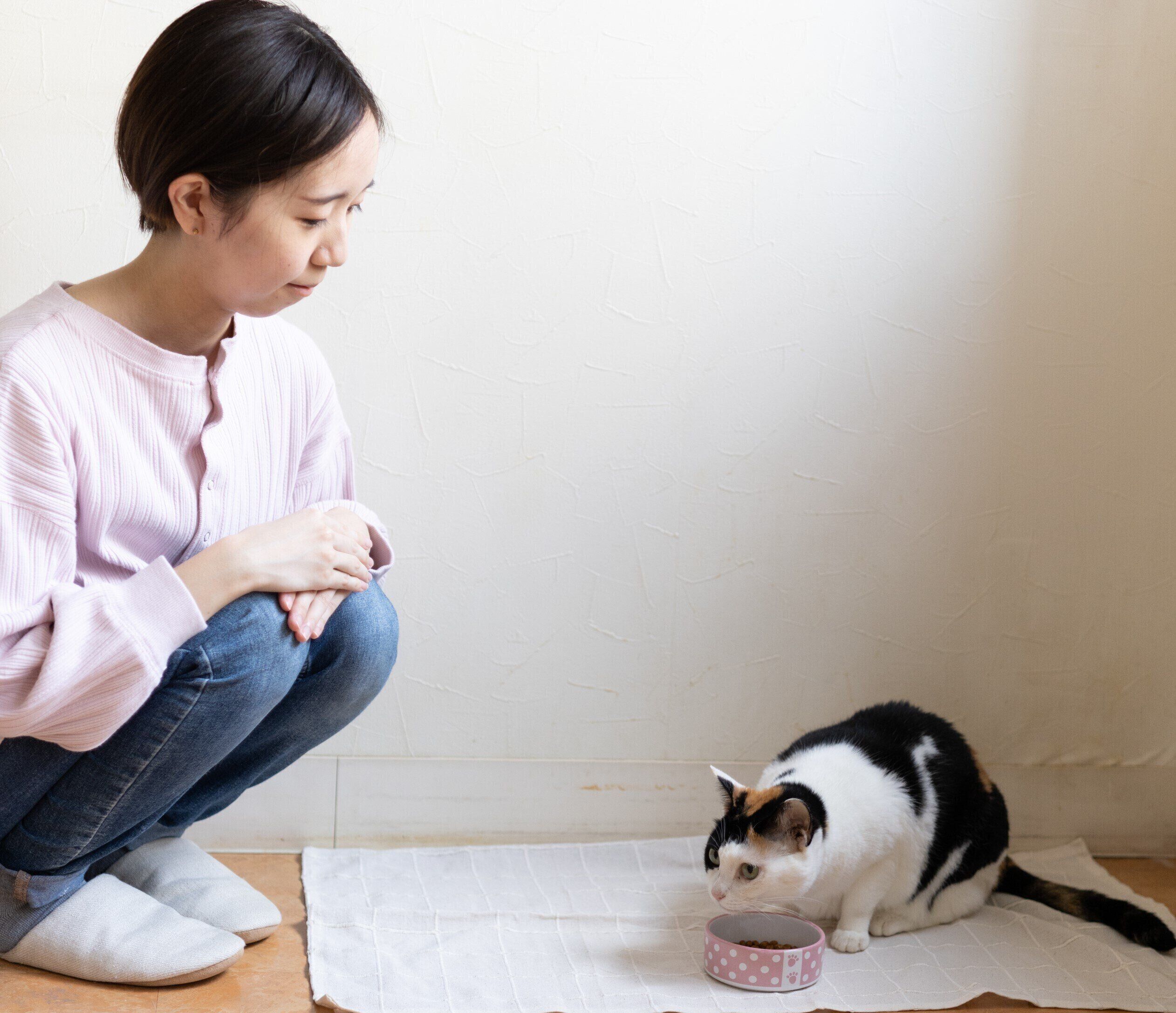 撮影／石原さくら