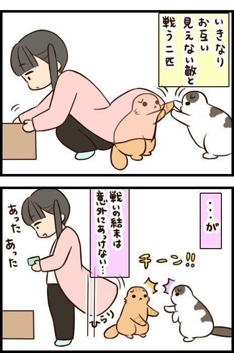 「もふもふスコたん」24話目