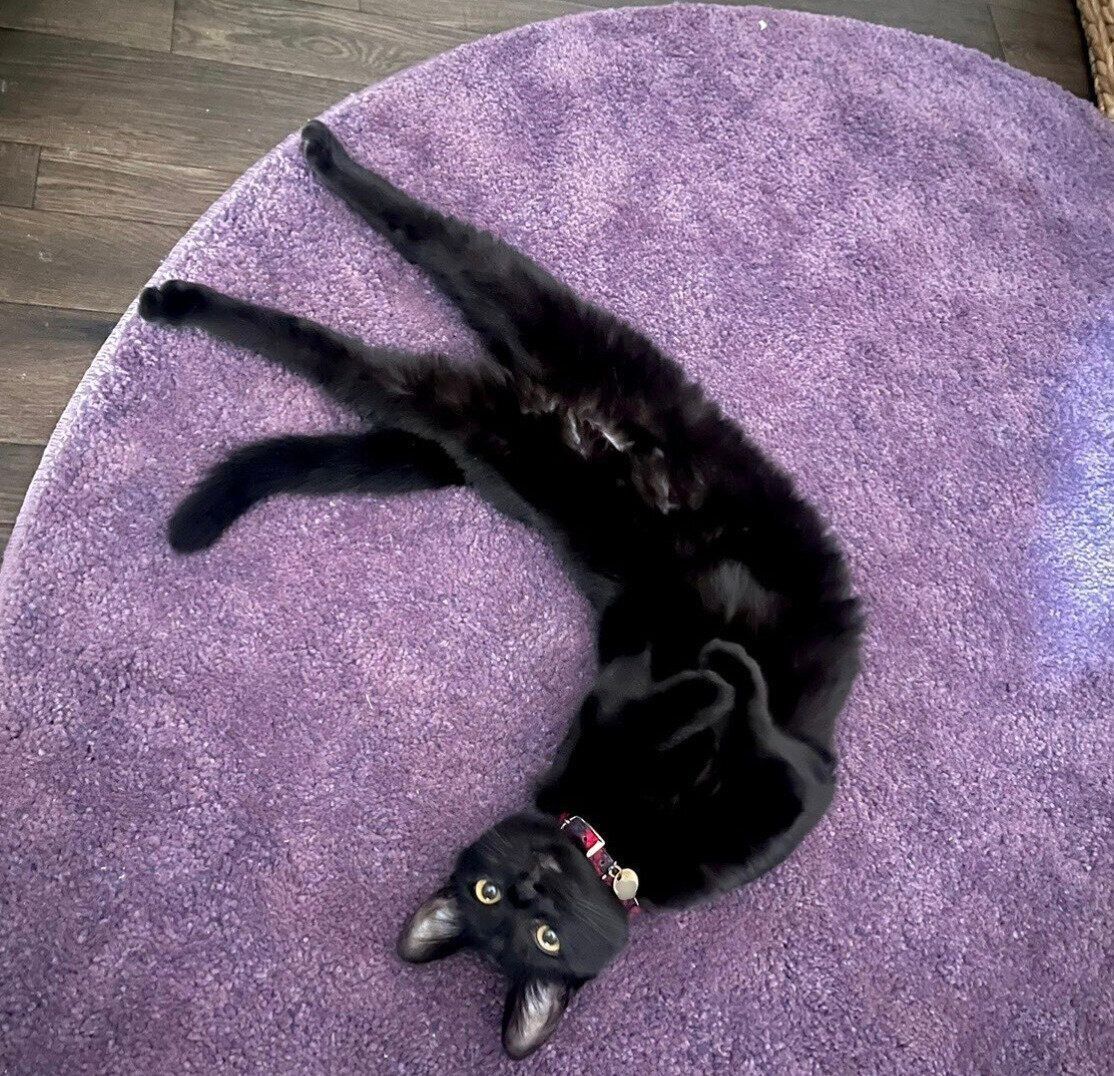 寝転がるなのちゃん