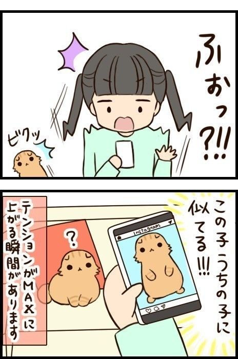 「もふもふスコたん」31話目