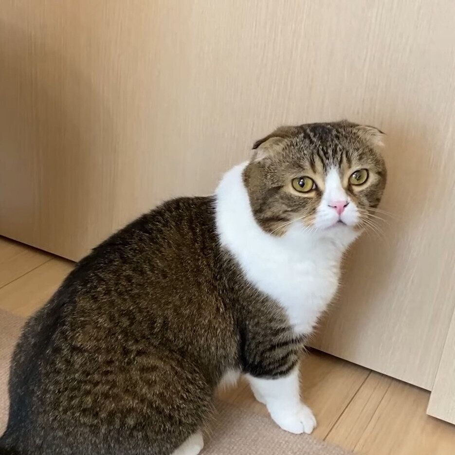 パパに会いたいぽこ太郎ちゃん