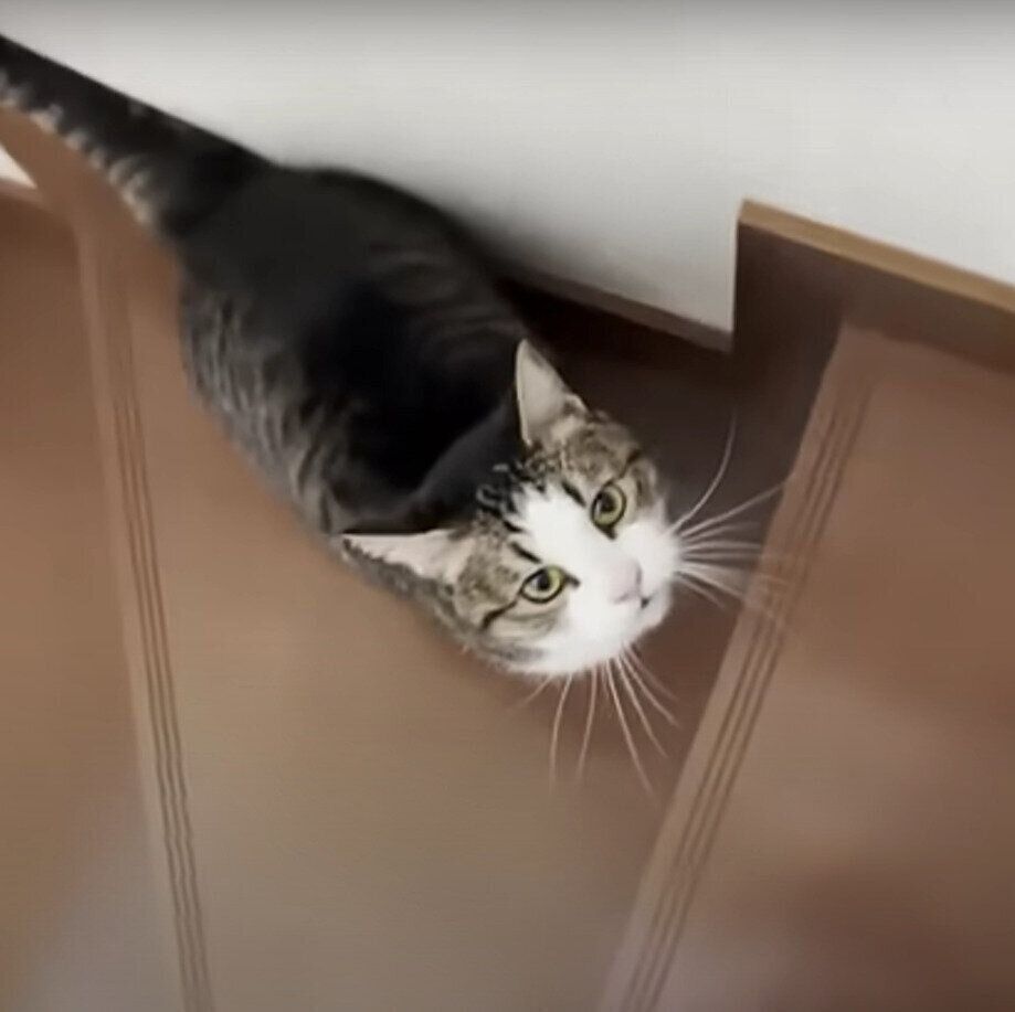 階段から見上げるおでこちゃん