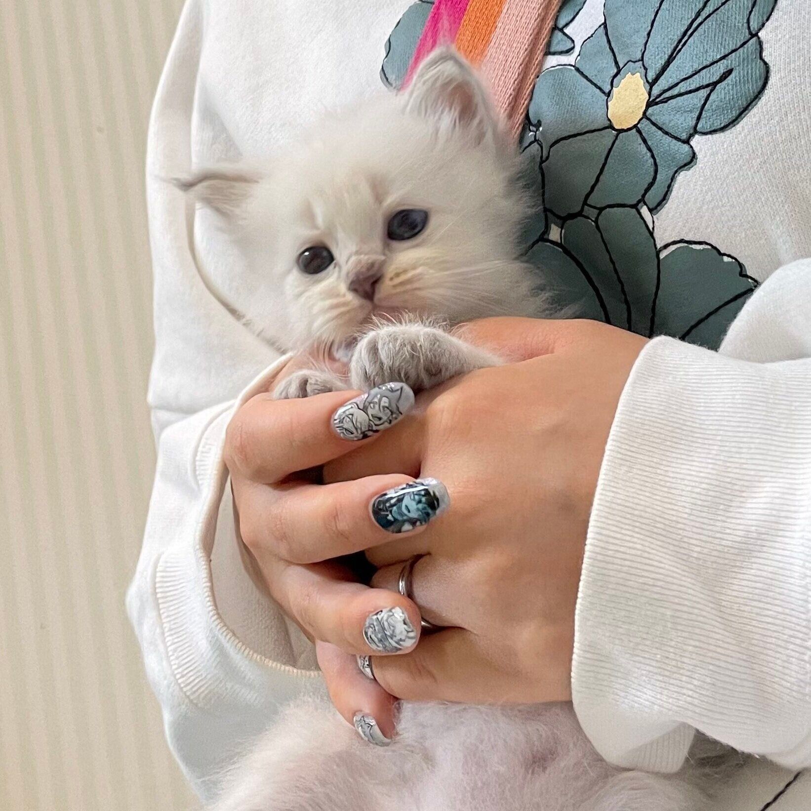 お迎えした当時のいれぶんくん