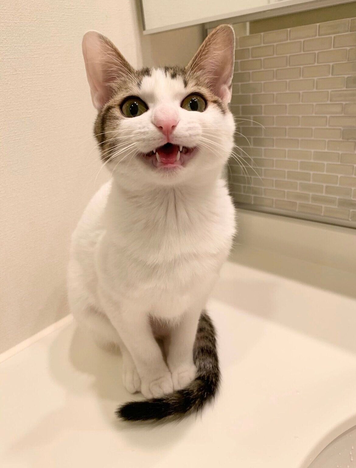 写真提供／読者