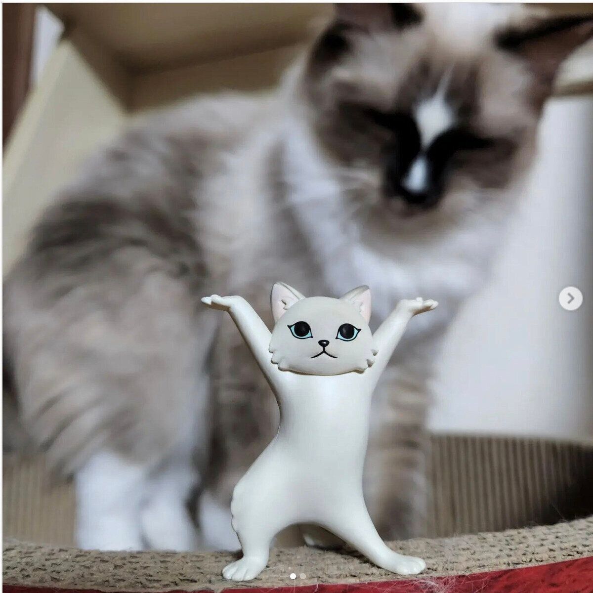 アーモンドちゃん