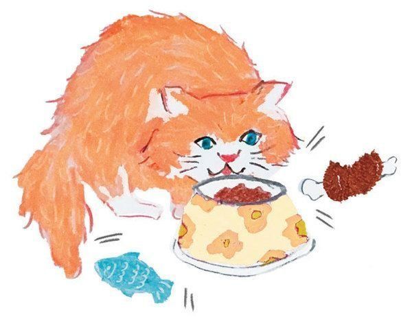 知っておきたい猫の栄養学