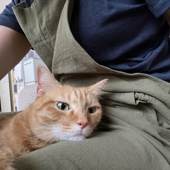 あごを乗せるなるとくん