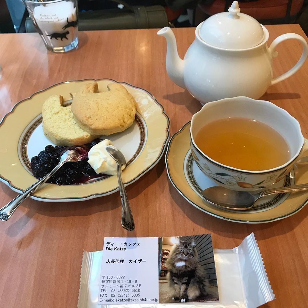 Die Katzeのネコーン