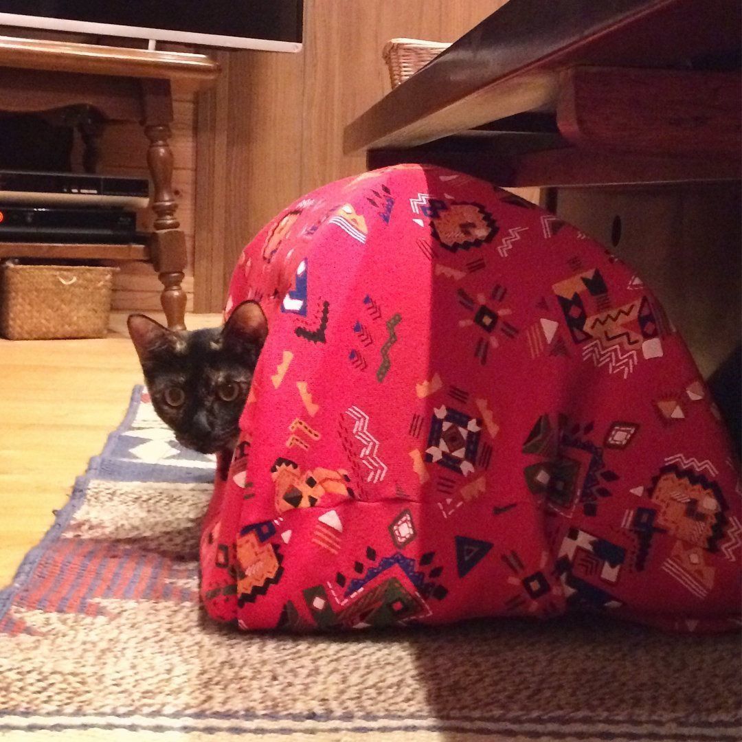 トレーナーで作った猫テント