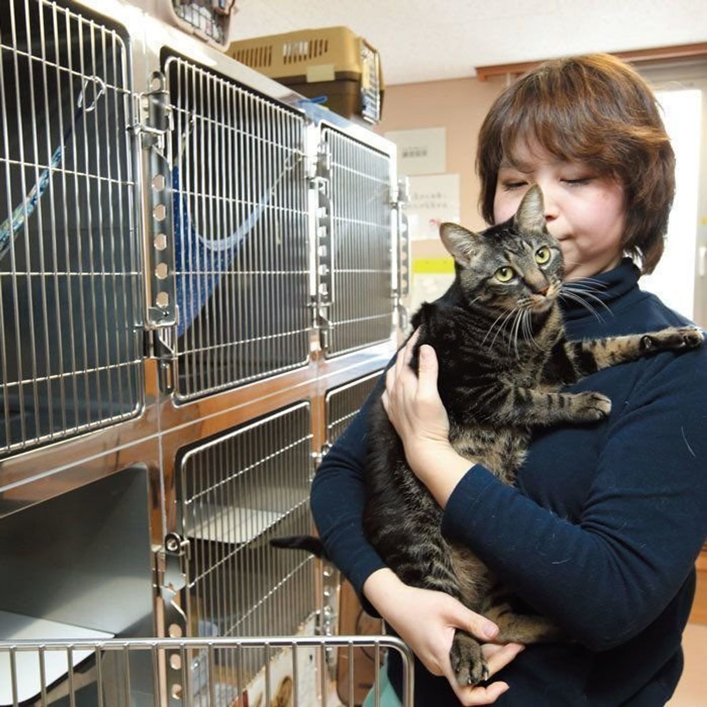 立ち寄りやすさ で猫との出会い増やす 川崎市動物愛護センター ねこのきもちweb Magazine 立ち寄りやすさ で猫との出会い増やす 川崎市動物愛護センター ねこのきもちweb Magazine