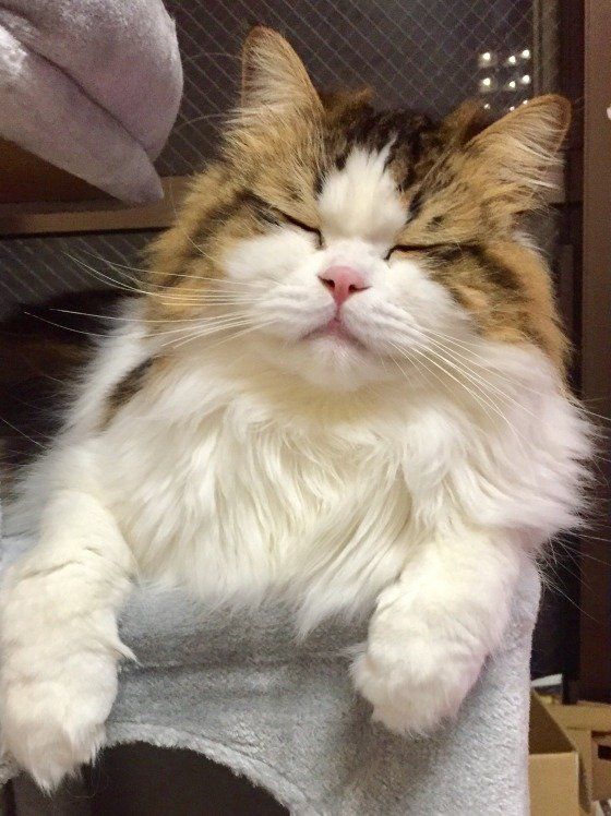 目をつぶっているののくん