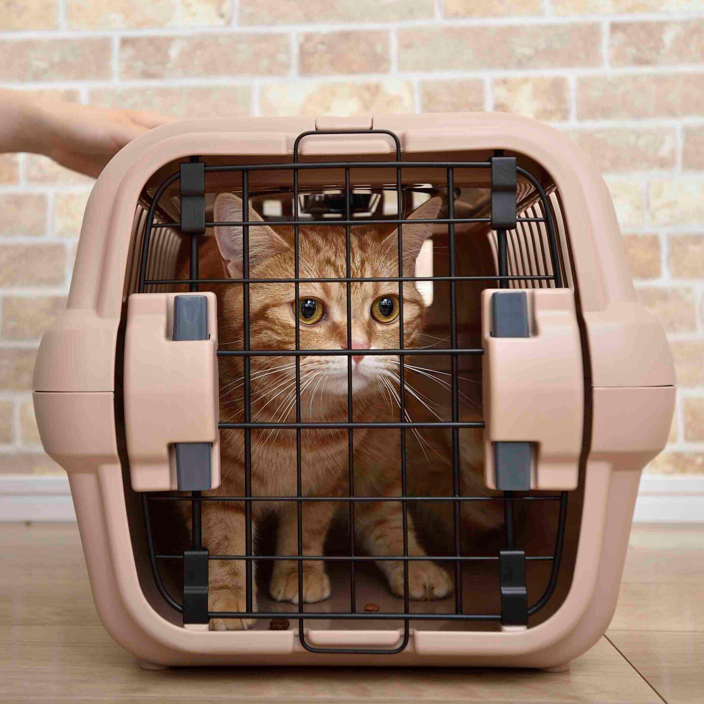 撮影／佐藤正之