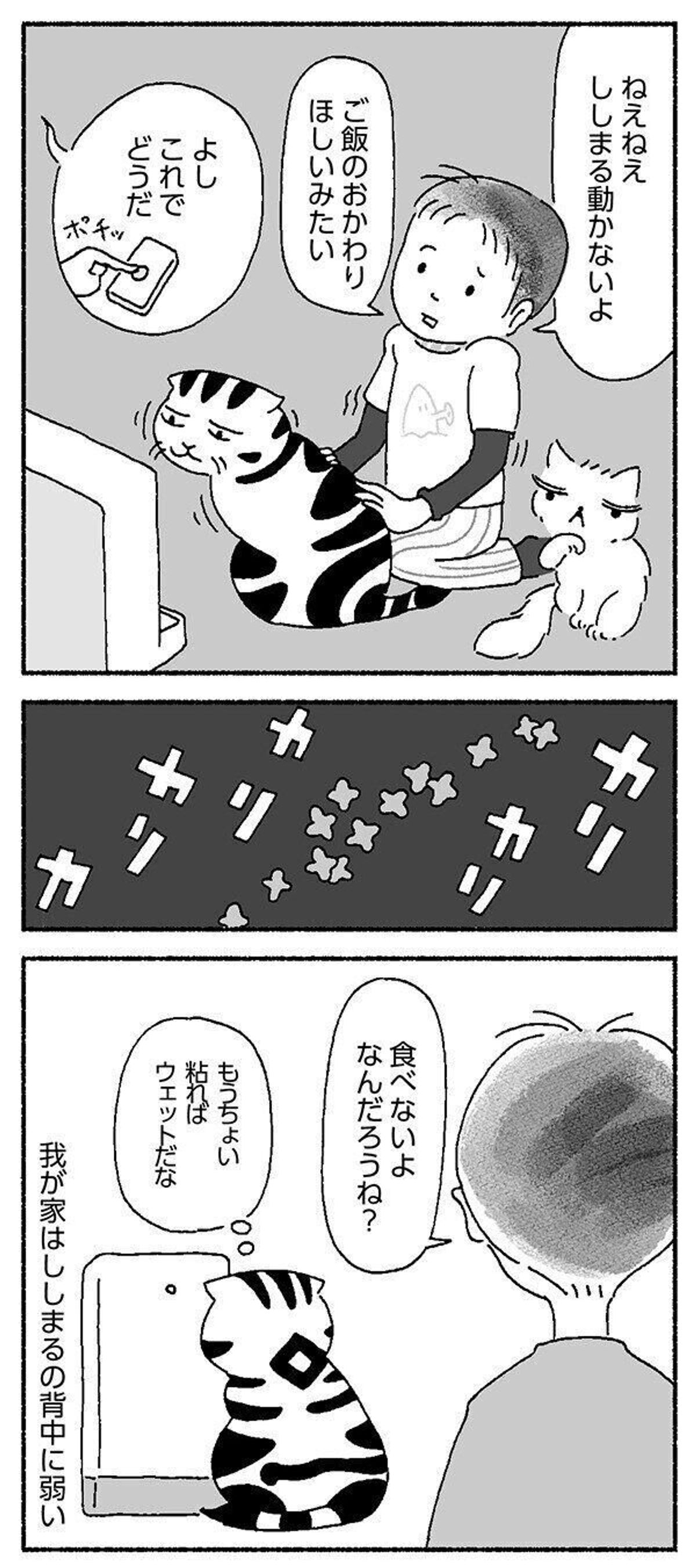 シニア猫になっても食欲は変わらず つまみ食いを挑戦するも徒労に終わったお話 連載 渋ネコししまるさん 152 ねこのきもちweb Magazine シニア猫になっても食欲は変わらず つまみ食いを挑戦するも徒労に終わったお話 連載 渋ネコししまるさん 152 ねこのきもちweb Magazine