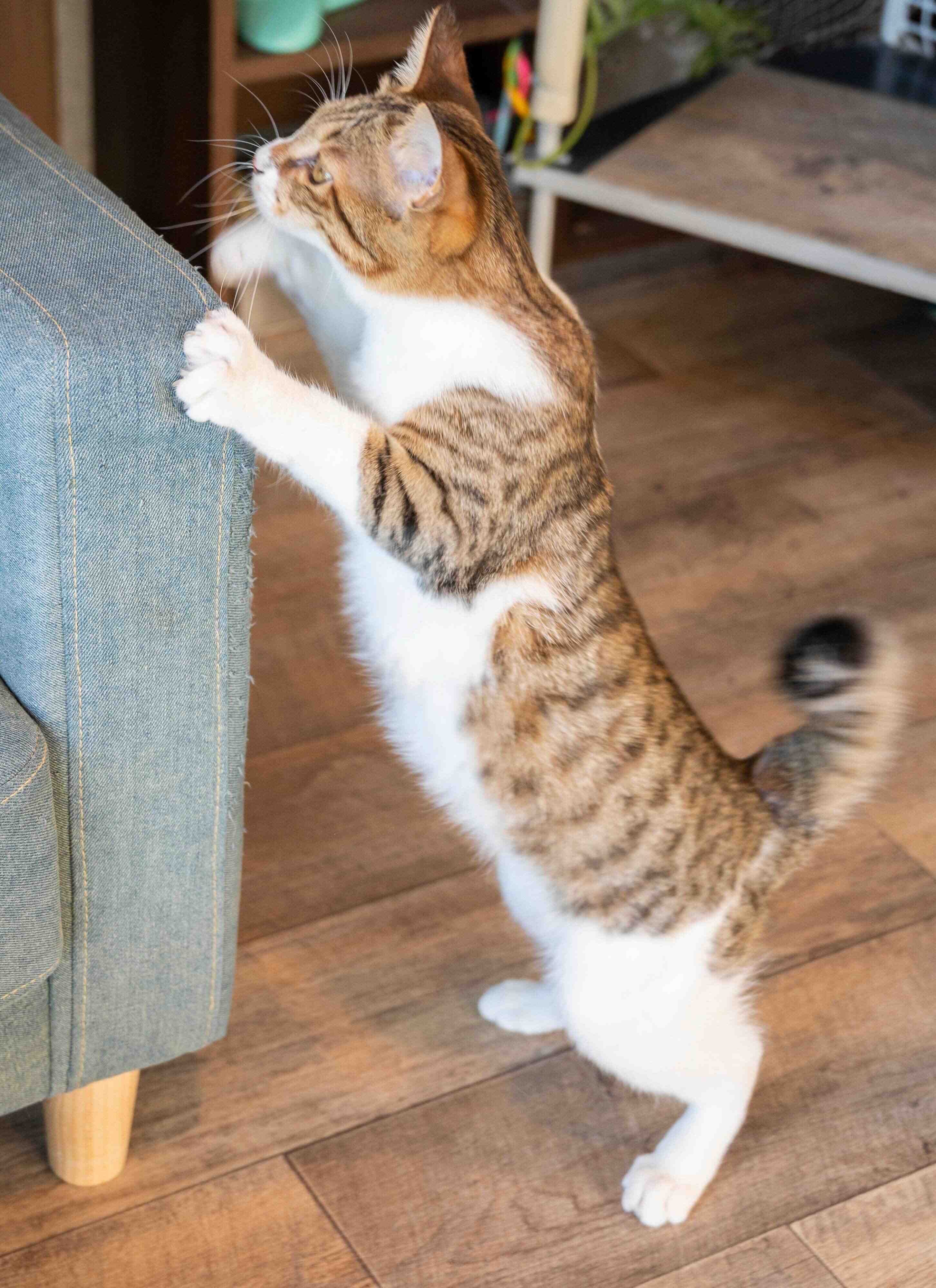 撮影／中川文作