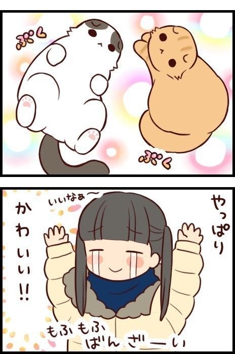 「もふもふスコたん」vol.6