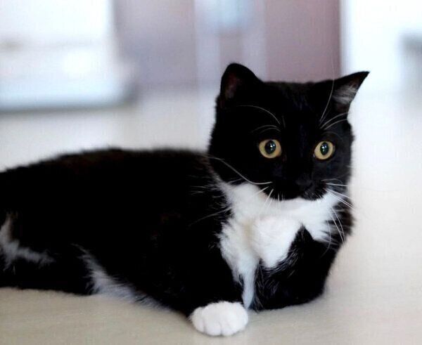 驚いた様子のうにくん